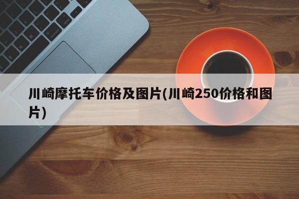 川崎摩托车价格及图片(川崎250价格和图片)