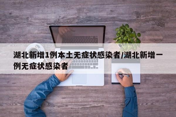 湖北新增1例本土无症状感染者/湖北新增一例无症状感染者