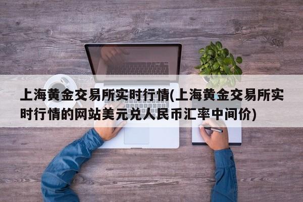 上海黄金交易所实时行情(上海黄金交易所实时行情的网站美元兑人民币汇率中间价)