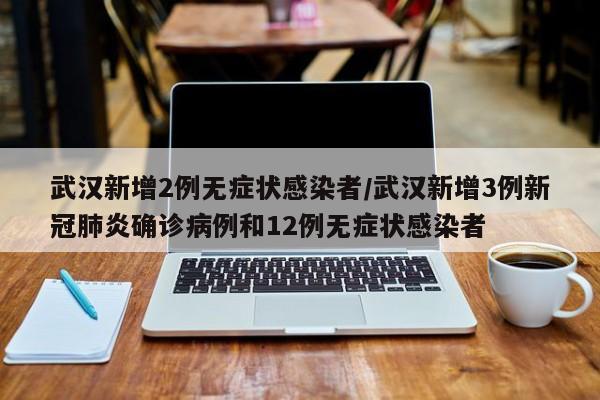武汉新增2例无症状感染者/武汉新增3例新冠肺炎确诊病例和12例无症状感染者