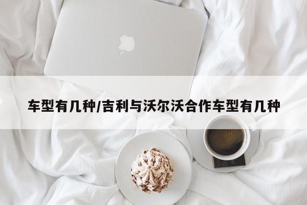 车型有几种/吉利与沃尔沃合作车型有几种