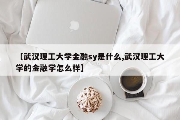 【武汉理工大学金融sy是什么,武汉理工大学的金融学怎么样】