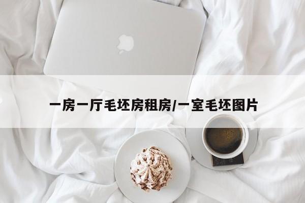 一房一厅毛坯房租房/一室毛坯图片