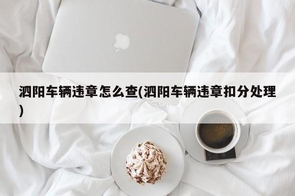 泗阳车辆违章怎么查(泗阳车辆违章扣分处理)