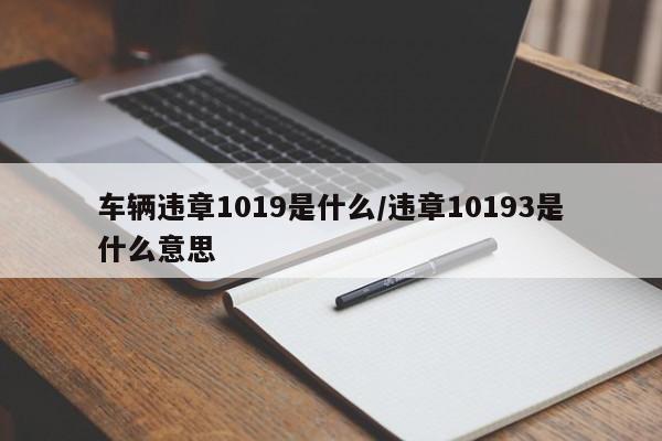 车辆违章1019是什么/违章10193是什么意思