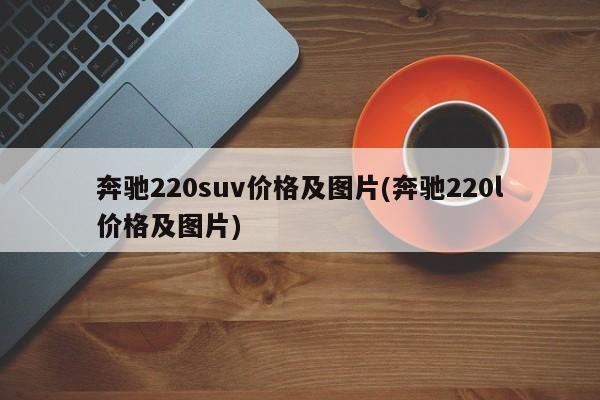 奔驰220suv价格及图片(奔驰220l价格及图片)