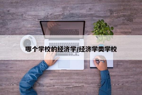哪个学校的经济学/经济学类学校
