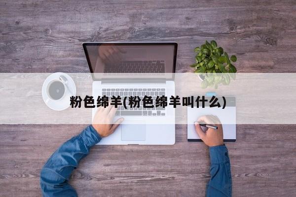 粉色绵羊(粉色绵羊叫什么)