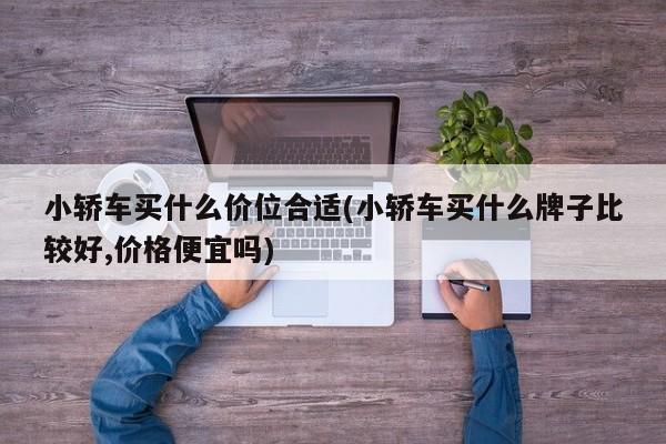 小轿车买什么价位合适(小轿车买什么牌子比较好,价格便宜吗)