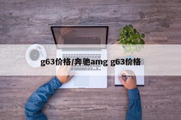 g63价格/奔驰amg g63价格