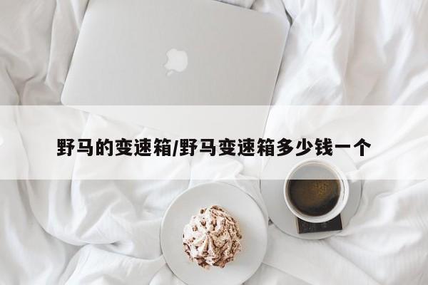 野马的变速箱/野马变速箱多少钱一个