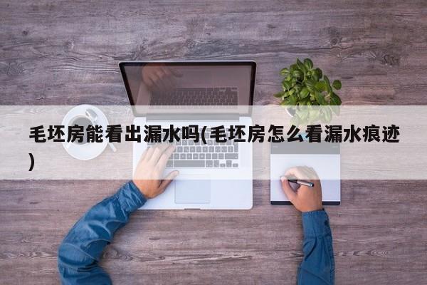 毛坯房能看出漏水吗(毛坯房怎么看漏水痕迹)