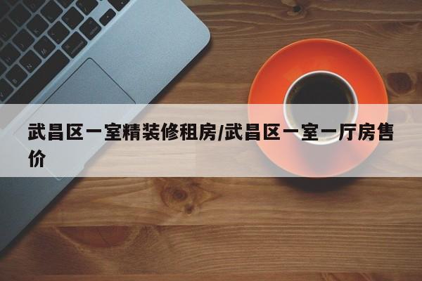 武昌区一室精装修租房/武昌区一室一厅房售价