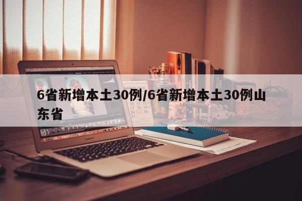 6省新增本土30例/6省新增本土30例山东省