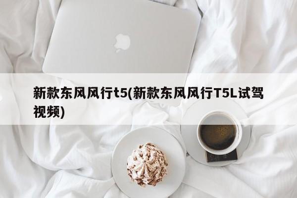 新款东风风行t5(新款东风风行T5L试驾视频)