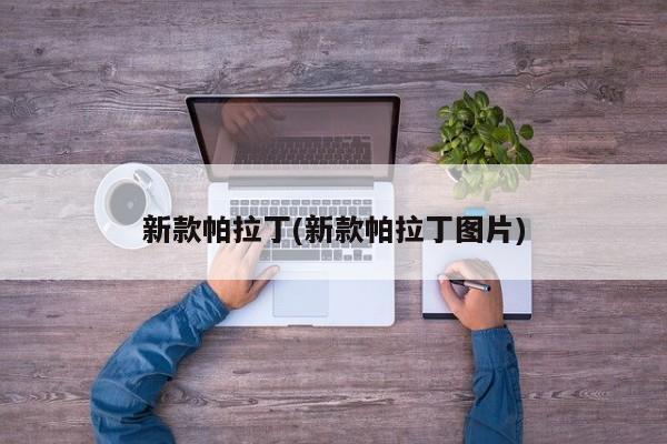 新款帕拉丁(新款帕拉丁图片)