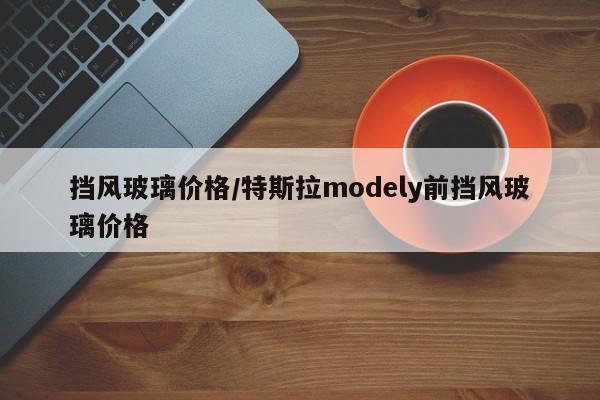 挡风玻璃价格/特斯拉modely前挡风玻璃价格