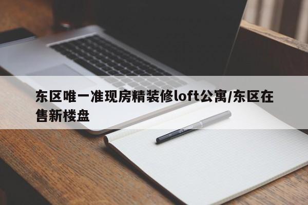 东区唯一准现房精装修loft公寓/东区在售新楼盘