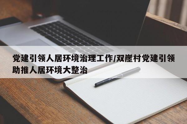 党建引领人居环境治理工作/双崖村党建引领助推人居环境大整治