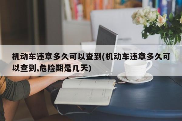 机动车违章多久可以查到(机动车违章多久可以查到,危险期是几天)