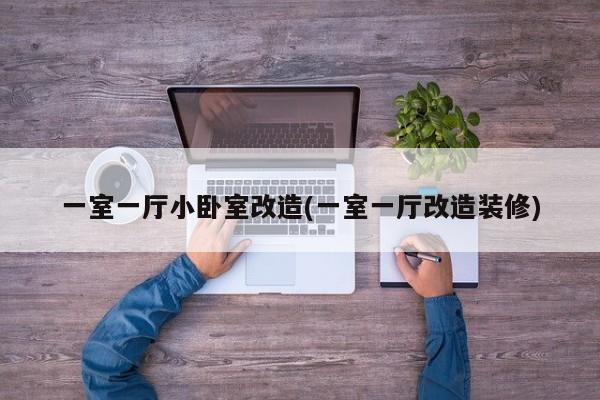 一室一厅小卧室改造(一室一厅改造装修)