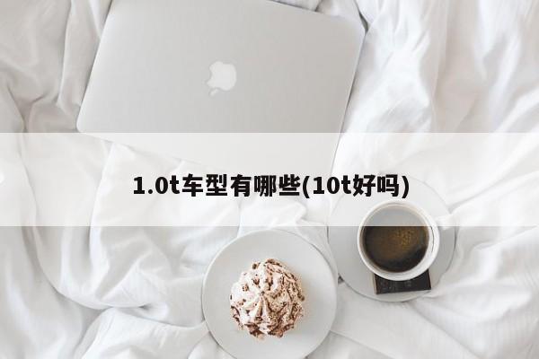 1.0t车型有哪些(10t好吗)