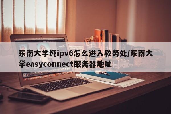 东南大学纯ipv6怎么进入教务处/东南大学easyconnect服务器地址