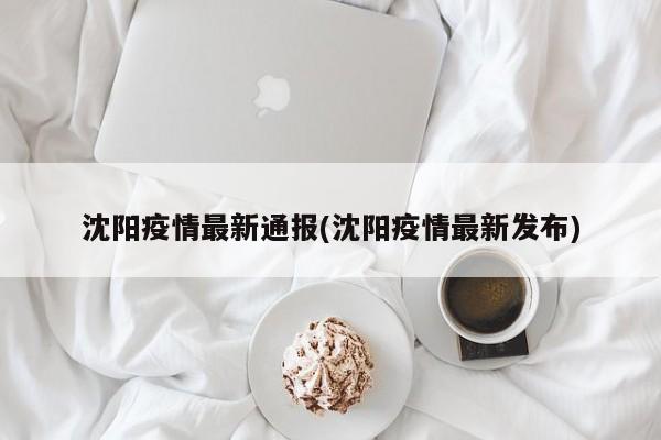 沈阳疫情最新通报(沈阳疫情最新发布)