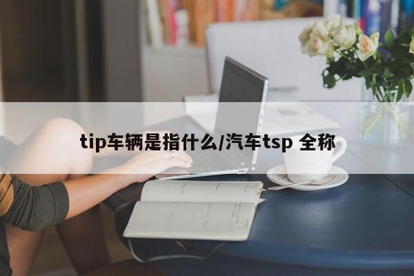tip车辆是指什么/汽车tsp 全称