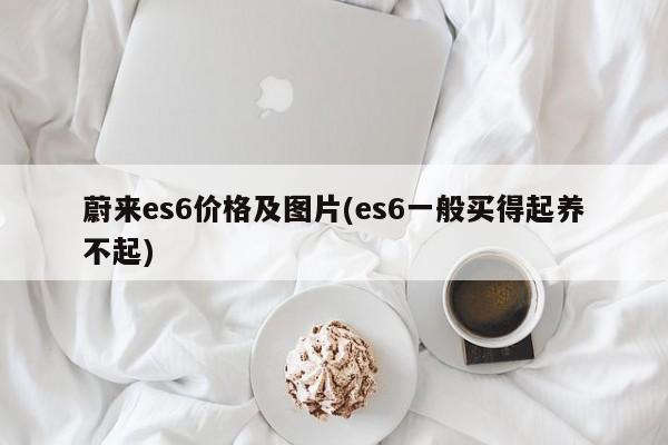 蔚来es6价格及图片(es6一般买得起养不起)