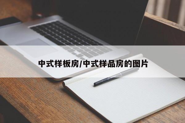 中式样板房/中式样品房的图片