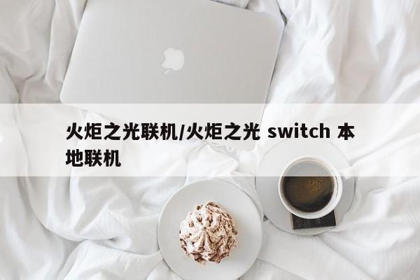 火炬之光联机/火炬之光 switch 本地联机