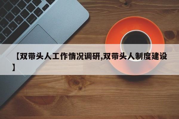 【双带头人工作情况调研,双带头人制度建设】