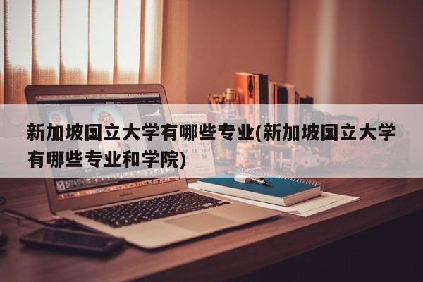 新加坡国立大学有哪些专业(新加坡国立大学有哪些专业和学院)
